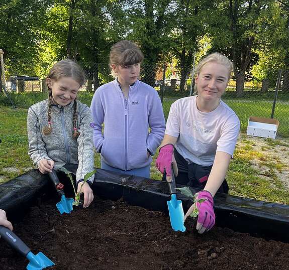 drei Mädchen stehend lächelnd hinter einem Hochbeet und pflanzen Kohlrabi