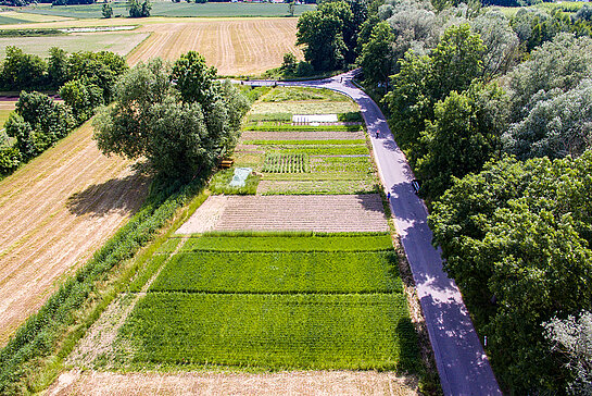 rechts Bäume, eine Straße, dann ein Feld, das verschieden bebaut ist im Blick von oben