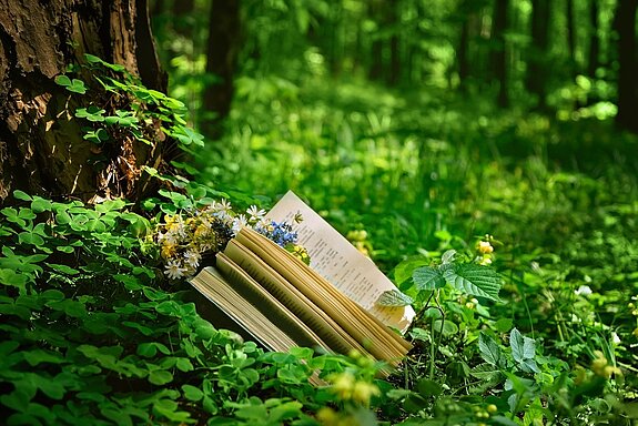 ein Buch liegt aufgeschlagen unter einem Baum im Wald, Blümchen liegen darin, der Hintergrund ist unscharf